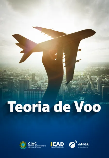 teoria-de-voo-2.webp